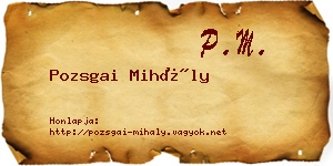 Pozsgai Mihály névjegykártya